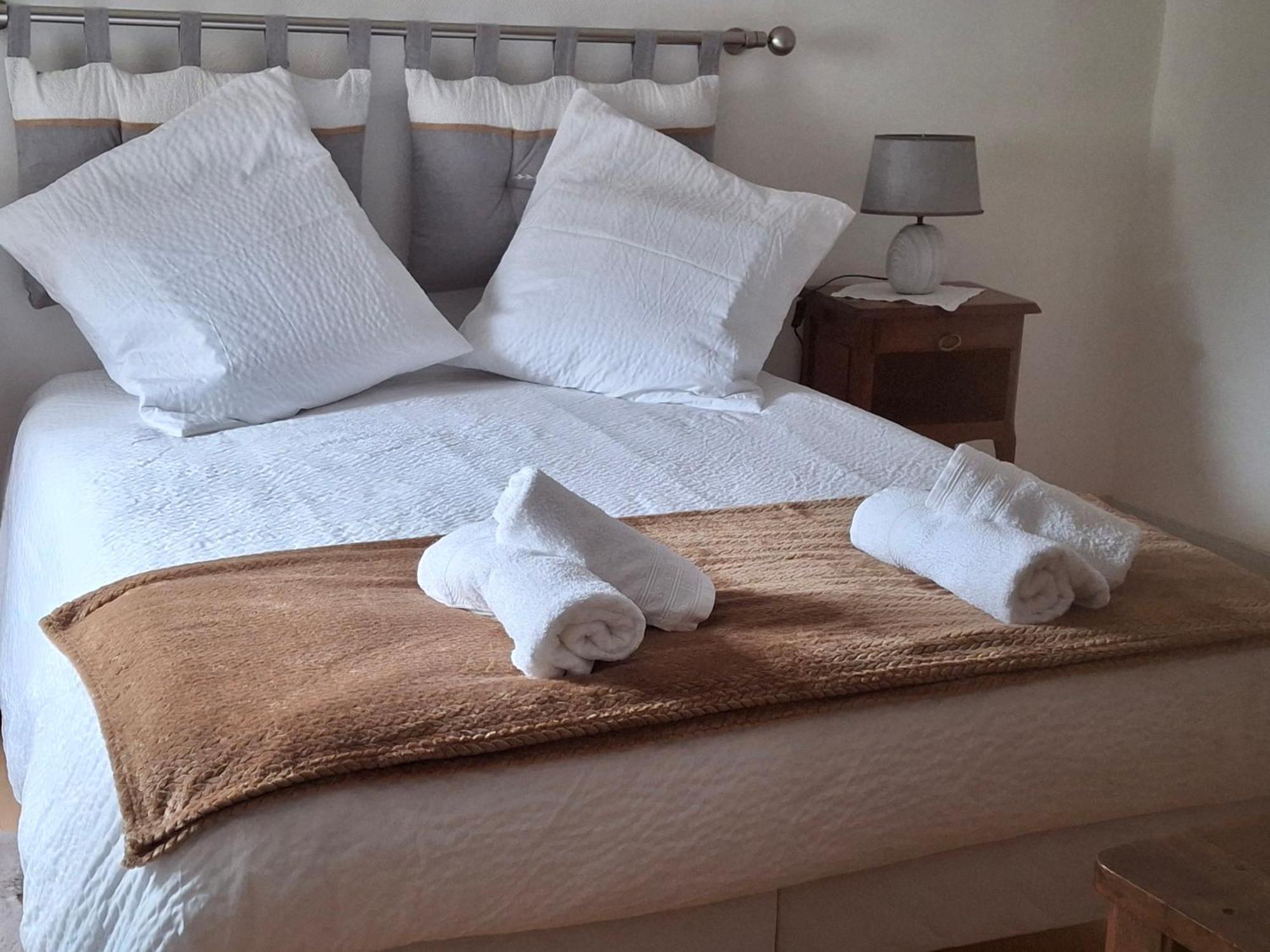 Escale Au Pied Du Chateau Amboise Zewnętrze zdjęcie